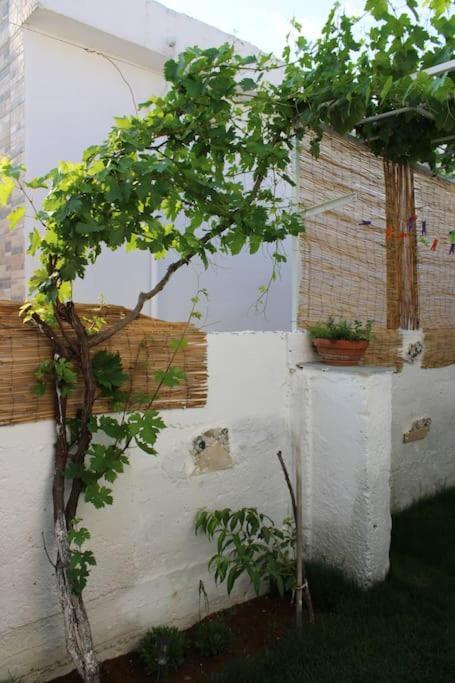 Villa Mantra1 Sozopoli Exterior foto